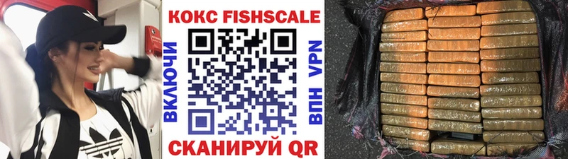 COCAIN FishScale  Купить закладки  Северо-Курильск 