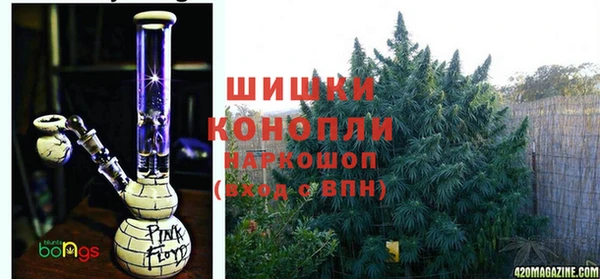 гидра Белоозёрский