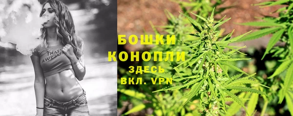 PSILOCYBIN Беломорск