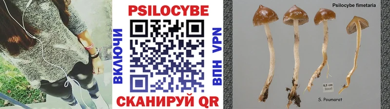 Купить закладки  Северо-Курильск  Псилоцибиновые грибы Psilocybe 